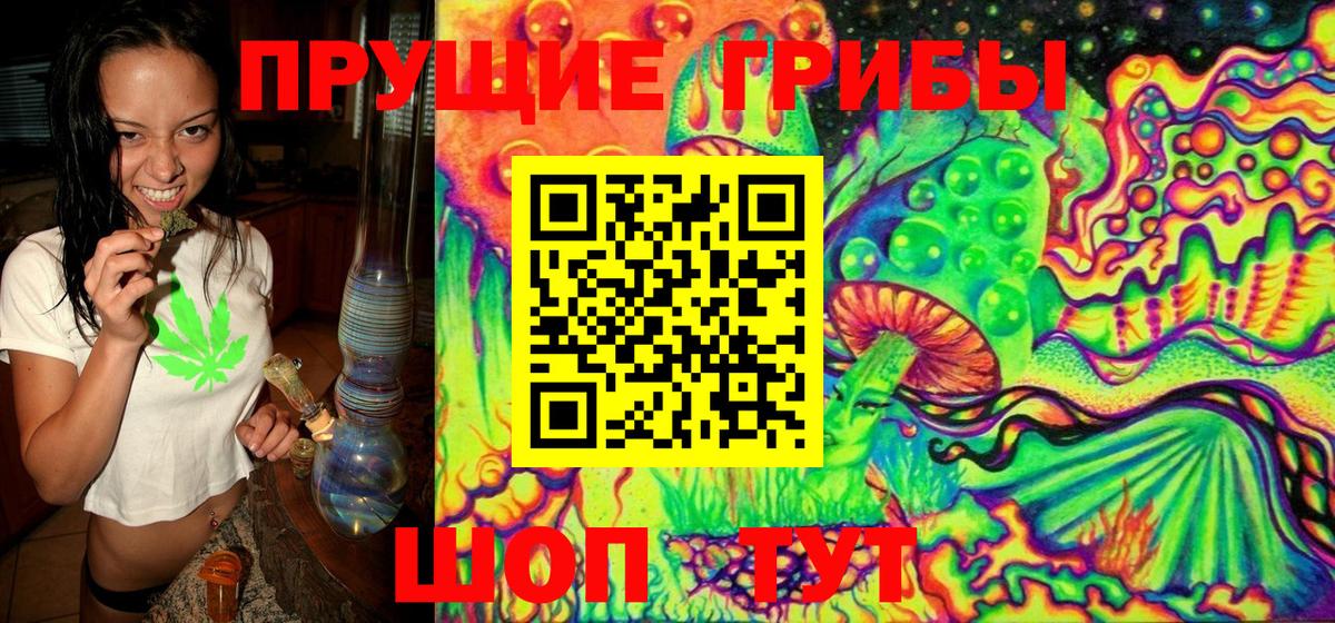 Галлюциногенные грибы GOLDEN TEACHER Волгодонск