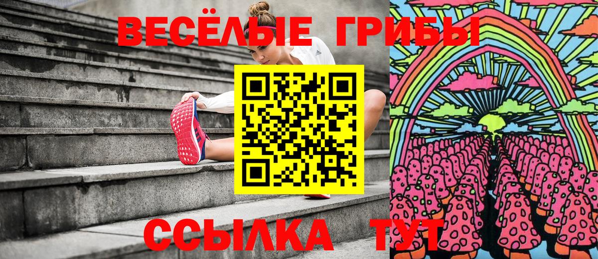 Волгодонск  Псилоцибиновые грибы Cubensis  магазин продажи   Вход с VPN 